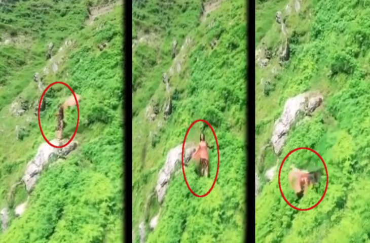 रील के चक्कर में पहाड़ से लुढ़कते हुए नीचे गिरी लड़की, कैमरे में कैद हुआ खतरनाक हादसा