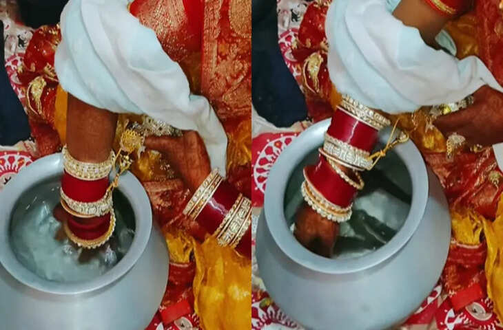 वायरल वीडियो ने मचाया धमाल, देखकर रह जाएंगे हैरान