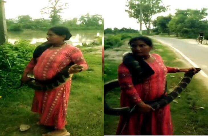 10 फीट का जहरीला कोबरा सामने था, महिला ने बिना डरे खिलौना समझकर पकड़ लिया, देखकर कांप जाएंगे
