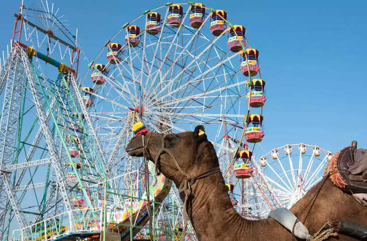 Pushkar Mela 2023 अगर आप भी घूमना चाहते हैं&nbsp; पुष्कर मेला,तो कर ले तैयारी बस आएगा इतना खर्च&nbsp;