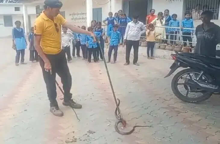 कटनी के सरकारी स्कूल की रसोई में निकला 5 फीट लंबा कोबरा: मची अफरा-तफरी, बच्चों को सुरक्षित बाहर निकाला गया