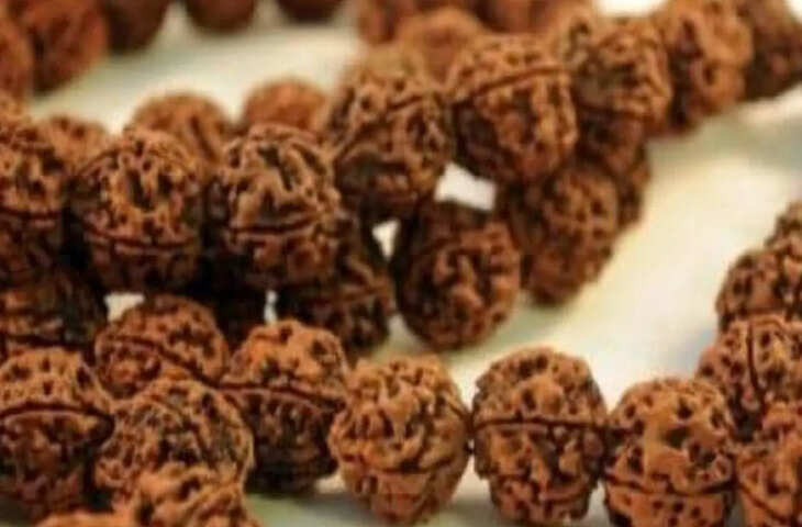 Rudraksha Benefits: भगवान शिव के आंसुओं से उत्पन्न हुआ रुद्राक्ष, धारण करने से मिलते हैं ये चमत्कारी लाभ