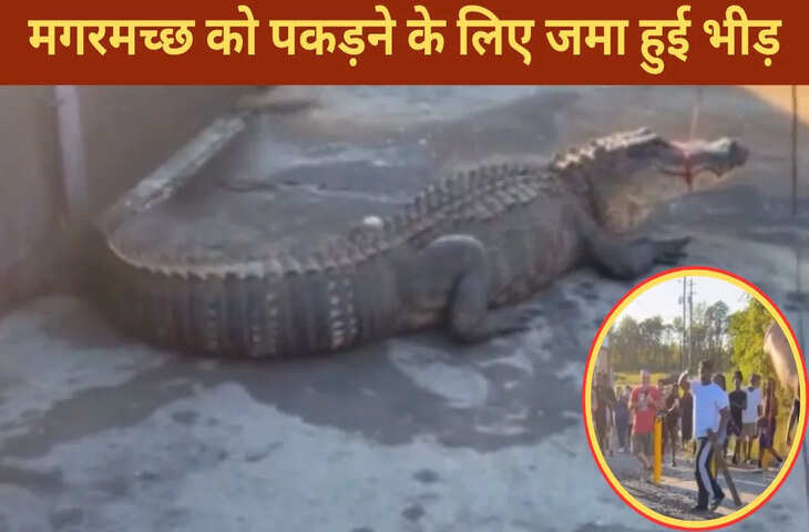 रोड पर निकला मगरमच्छ, पकड़ने के लिए जुटी भीड़, VIDEO देख सिहर उठेंगे!