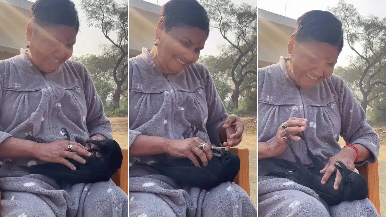 महिला की गोद में आराम फरमाता दिखा कौवा, अनोखी दोस्ती ने जीता लोगों का दिल