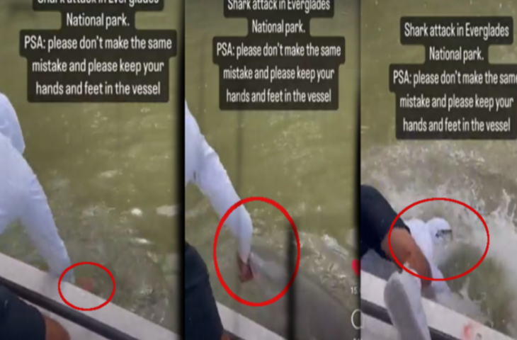 नाव में बैठे शख्स ने पानी में डाला हाथ, नदी में खींच ले गई शार्क, फिर जो हुआ देखकर दहल जाएगा दिल