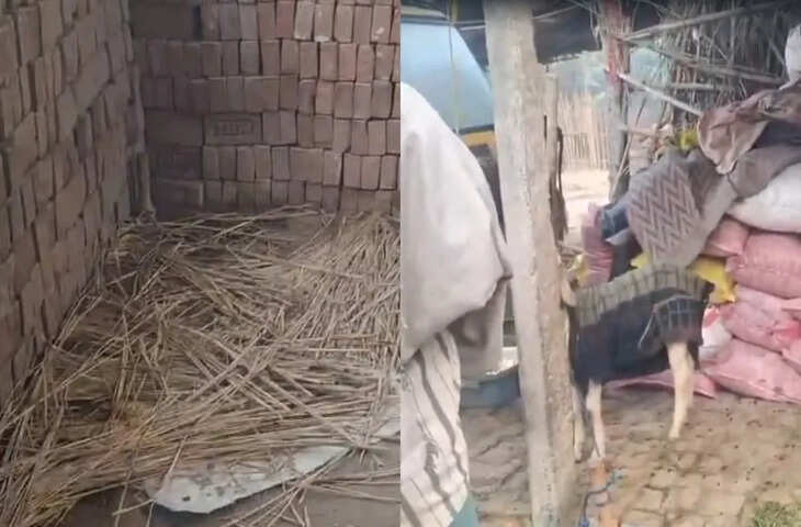 नकली पुलिस बनकर पहुंचे बदमाश, शराब ढूंढ़ने के बहाने चुरा ले गए दर्जनों बकरियां, सरकारी पैसे से खरीदी थी