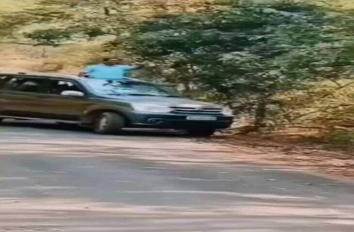 Viral Video: जंगल में अकेले जाने पर उठे सवाल, वीडियो देख लोगों ने दी सावधानी की सलाह