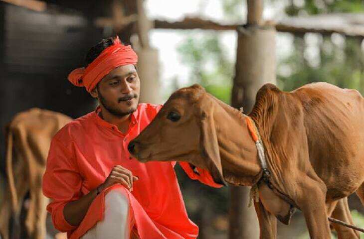 किसानों के लिए बड़ी खुशखबरी! देसी गाय पालने पर मिलेगी ₹15 हजार तक की सब्सिडी, जानिए आवेदन प्रक्रिया