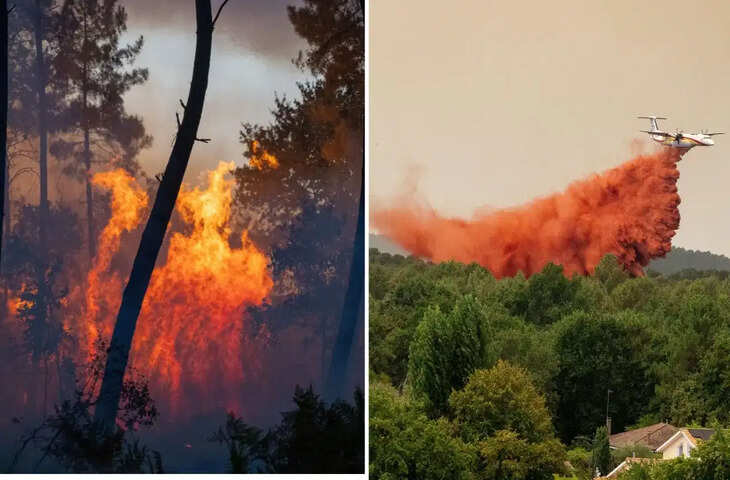 यूरोप में जंगलों की आग बनी महासंकट लाखों लोगों पर खतरा, जानिए क्या होता है Fire Cloud और क्यों है इतना विनाशकारी ?&nbsp;