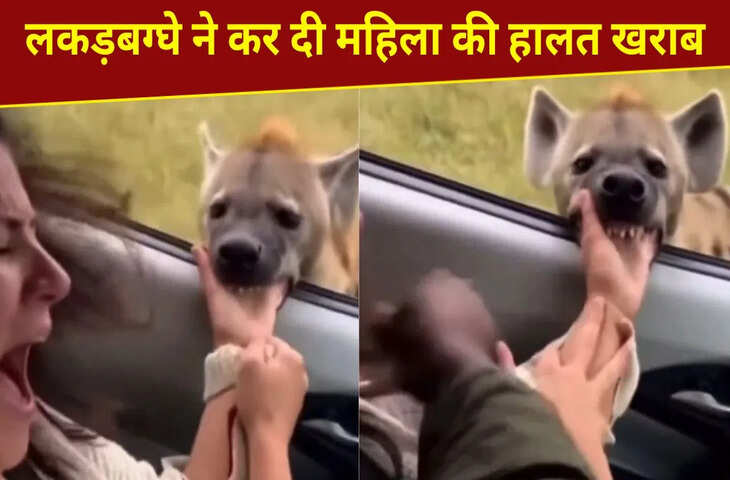 लकड़बग्घे ने धर लिया महिला का हाथ, फिर जो हुआ&hellip;वीडियो देख खड़े हो जाएंगे रोंगटे