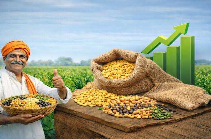 खेती से बढ़ाएं आमदनी! दलहन फसलों के लिए सरकार की खास योजना, 50% सब्सिडी का मिलेगा फायदा