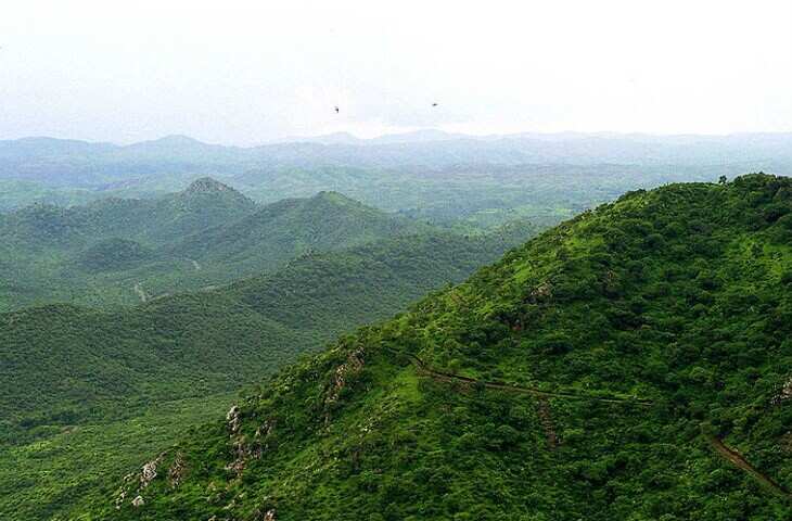 अरावली की गोद में फलते-फूलते है&nbsp;29 जिले के करोड़ों लोग और&nbsp;20 अभ्यारण्य, अगर ये ना होती तो क्या होता ?