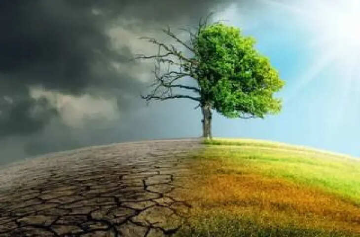 जलवायु संकट के बीच कैसे आगे बढ़ें भारतीय व्यवसाय