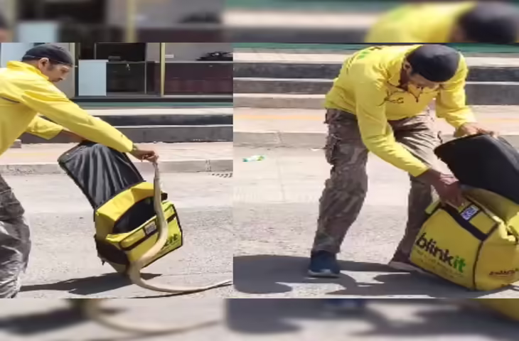 Viral Video: डिलीवरी बैग खोलते ही सामने आया सांप, मुंबई की घटना ने इंटरनेट पर मचा दिया तहलका