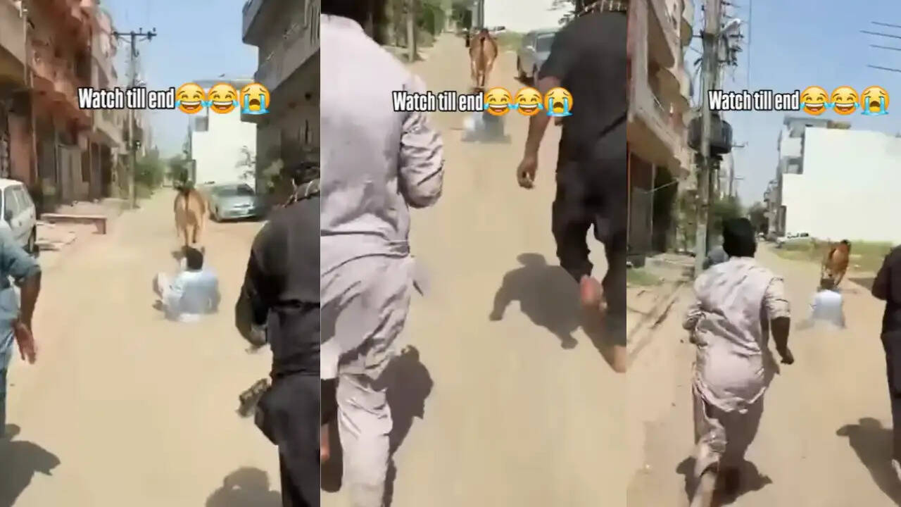 सांड का सड़क पर तांडव, शख्स को काफी दूर तक घसीटा; वीडियो देख सहम गए लोग