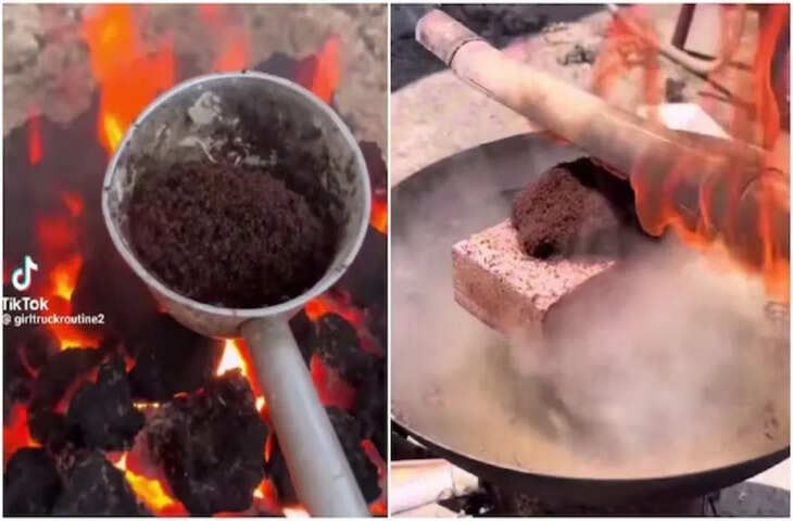 कहाँ से आया है ये जल्लाद....' हजारों चीटियों को उतार दिया मौत के घाट, वीडियो देख भड़के यूजर्स&nbsp;