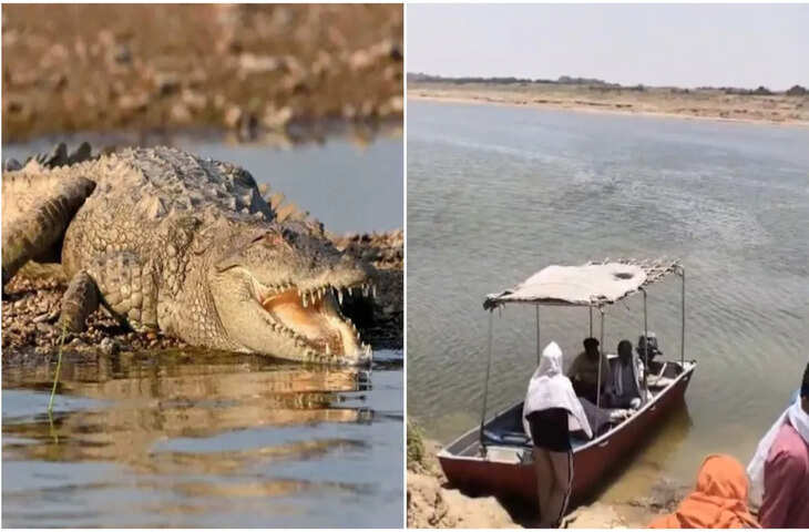 धौलपुर में दिल दहला देने वाली घटना, एक्सक्लूसिव फुटेज में देंखे चंबल नदी में मगरमच्छ ने 14 वर्षीय बच्ची को खींचा, ग्रामीणों ने बचाया लेकिन नहीं बच सकी जान