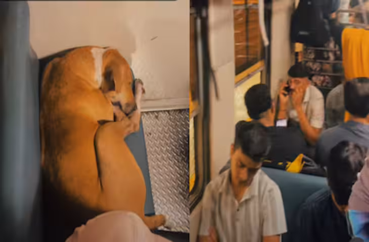 मुंबई लोकल में डोगेश भाई की शाही एंट्री! भीड़ के बीच मिला ऐसा VIP ट्रीटमेंट, Video वायरल