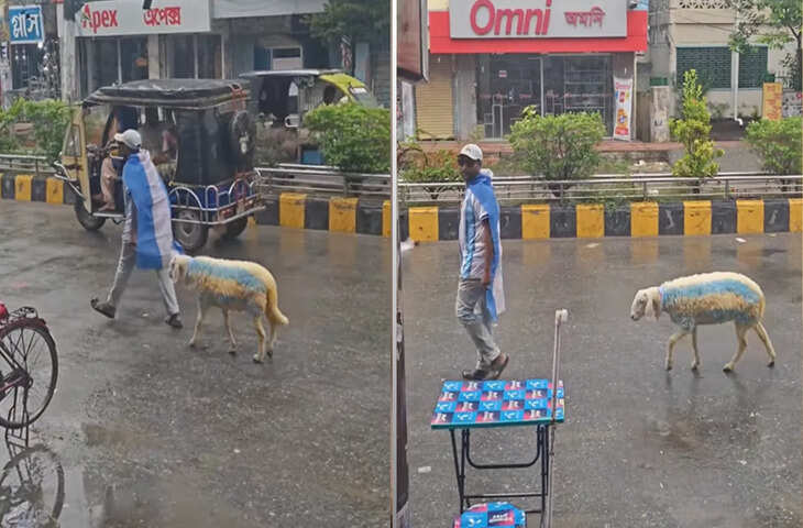बांग्लादेश में फुटबॉल दीवानगी की हद! भेड़ पर चढ़ा मैसी का रंग, VIDEO ने इंटरनेट पर मचा दी सनसनी
