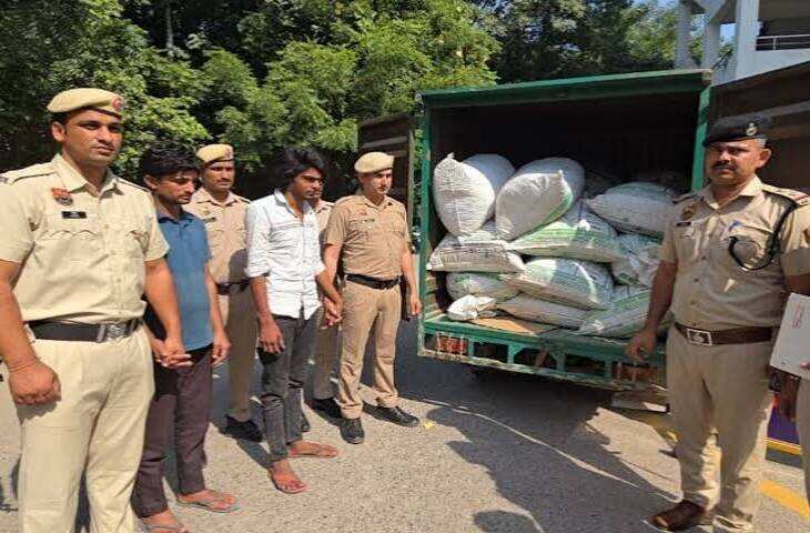 गुरुग्राम में गांजा तस्करी गिरोह का भंडाफोड़, वीडियो में जाने ट्रक से 673 किलो गांजा बरामद; कीमत करीब 1.25 करोड़ रुपये