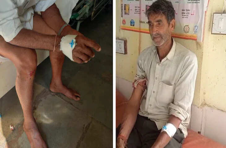 सीकर में तेंदुए का आतंक, खेत में काम कर रहे 2 ग्रामीणों पर किया हमला, दहशत में लोग