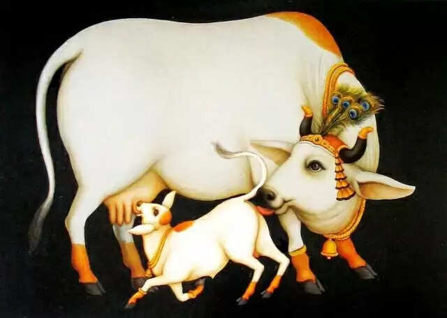 vastu tips kamdhenu cow statue benefits cow and calf statue at home vastu