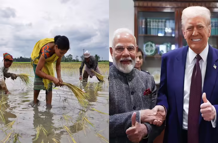 India-US Trade Deal में भारत ने खींच दी 'लक्ष्मण रेखा', किसानो के साथ नहीं हुआ कोई धोखा&nbsp;