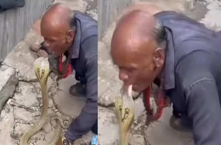 चाचा ने कोबरा के साथ किया लिपलॉक, फिर किया कुछ ऐसा देखकर सहम गए लोग