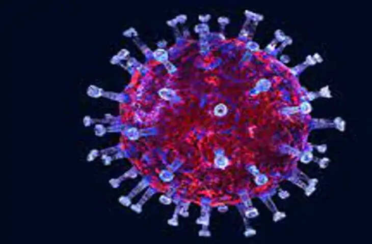 Alwar में पिछले 24 घंटे में आए 754 नए कोरोना केस, 970 मरीज हुए रिकवर