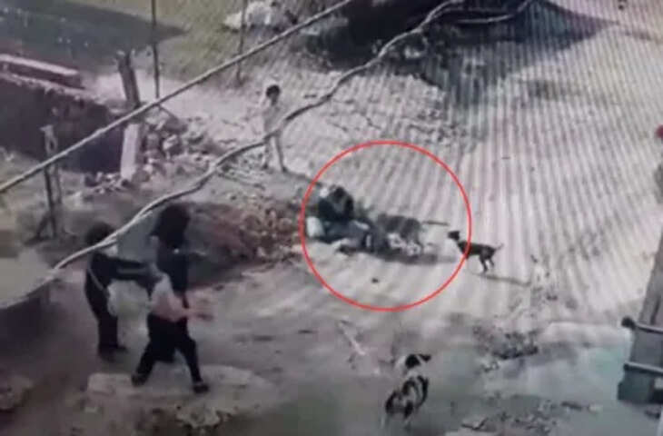 सवाई माधोपुर में डेढ़ साल की मासूम पर कुत्ते का हमला, वीडियो में देखें बेटी को बचाने के लिए मां बनी ढाल, CCTV में कैद हुई घटना