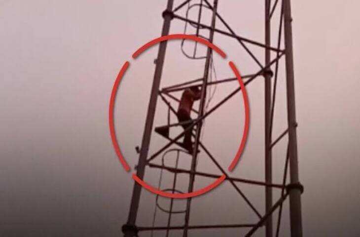 मंदसौर में लापता बेटे की तलाश में मोबाइल टावर पर चढ़ा पिता, आश्वासन के बाद नीचे उतरा