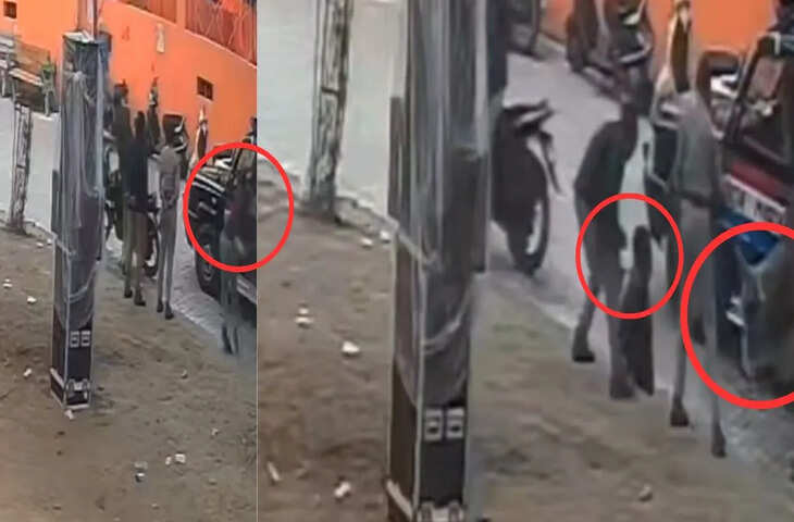 कानपुर में आवारा सांडों का आतंक, आम लोग और पुलिसकर्मी भी परेशान