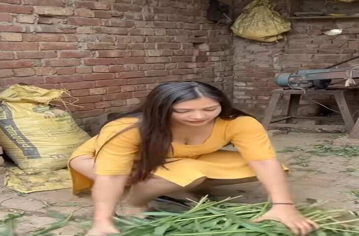 गांव की असली पहचान सादगी और संस्कार, फिर रील्स में क्यों दिखाई जा रही अश्लीलता?&nbsp;देखें वीडियो&nbsp;
