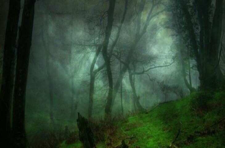 इसे माना जाता है दुनिया का सबसे खतरनाक जंगल, जिसमें जाने वाला कभी नहीं आता वापस