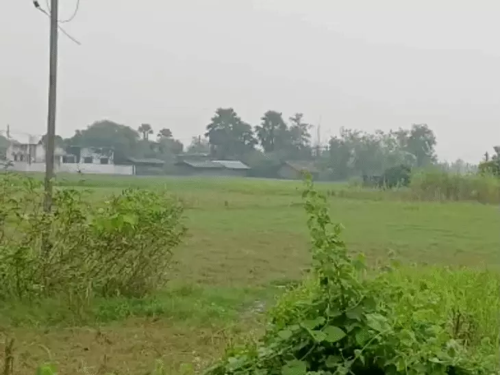 Bihar Weather Update: बिहार में आज दिनभर खिलेगी धूप, रात से बदल सकता है मौसम; जानें कैसा रहेगा हाल