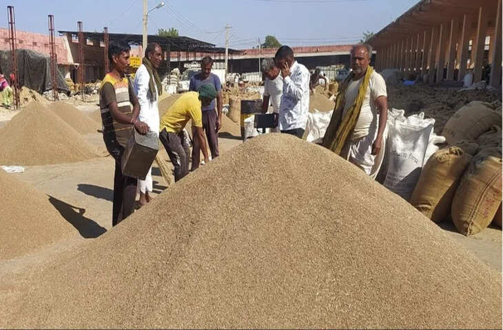 भामाशाह मंडी में मंगलवार को कृषि बाजार का रुझान: गेहूं-चना मंदा, धनिया-सरसों तेज
