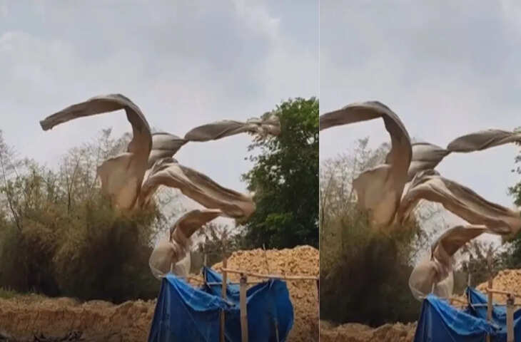 Viral Video: बवंडर में उड़ती पन्नियों का अजब-गजब डांस, लोग बोले &ndash; 'ये भूत नहीं, नेचर का खेल है'