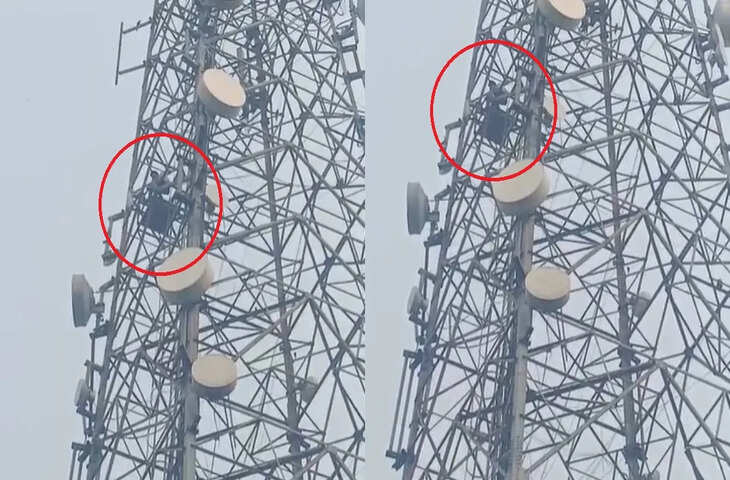 मोतिहारी में युवक मोबाइल टावर पर चढ़ा, पत्नी से नाराज होकर जान देने की दी धमकी