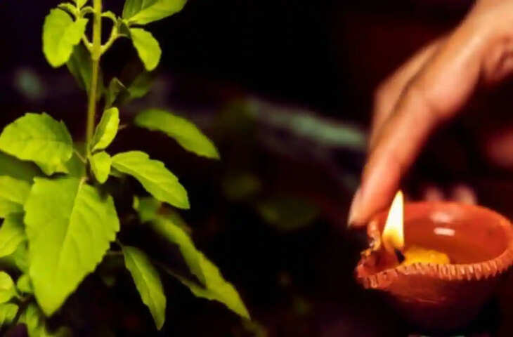 Nirjala Ekadashi Tulsi Upay: निर्जला एकादशी पर तुलसी के पास दीपक में डालें यह एक चीज, धन संकट दूर होने की है मान्यता