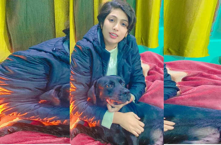 अब घर में कुत्ता पालने का शौक है तो करना होगा यह काम, नहीं तो हो जाएगी सख्त कार्रवाई