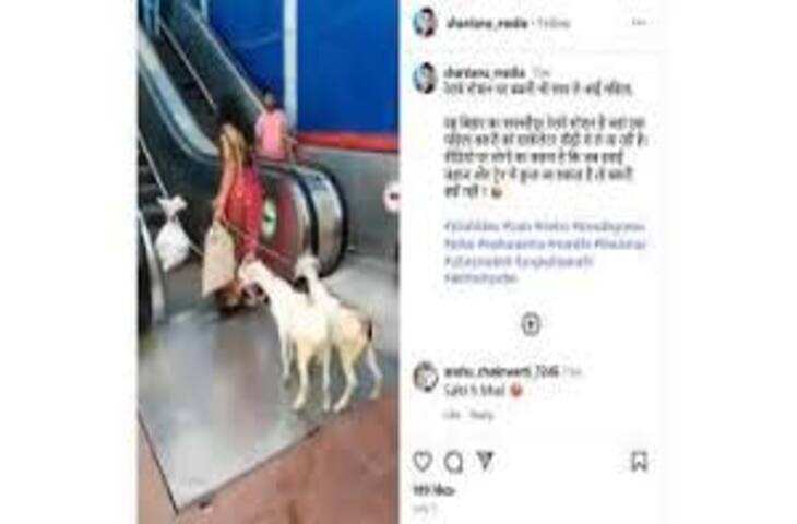 पटना मेट्रो में बकरियों ने की यात्रा? वीडियो हो रहा वायरल, जानिए पूरी सच्चाई