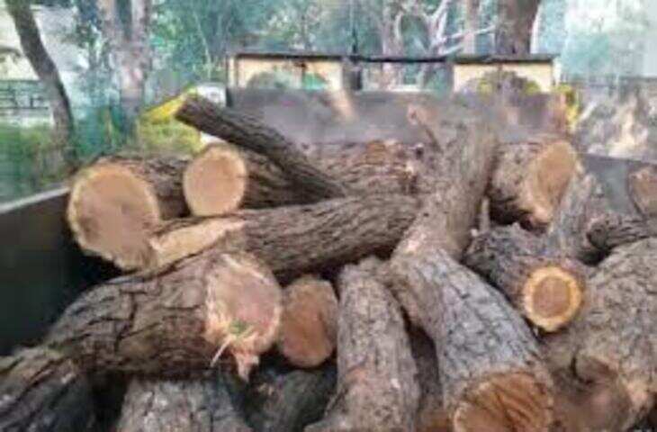 स्कूल बस से 29 पेटी शराब जब्त