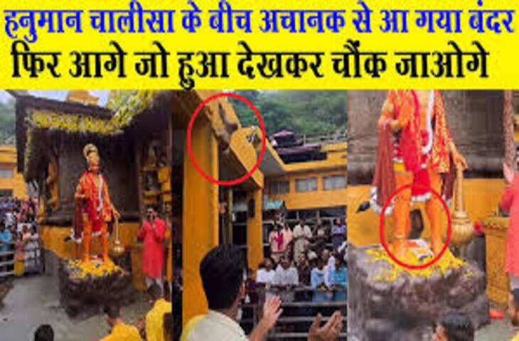 हनुमान चालीसा के बीच अचानक से आ गया बंदर, आते ही किया ऐसा काम देखकर आंखें फटी रह जाएंगी