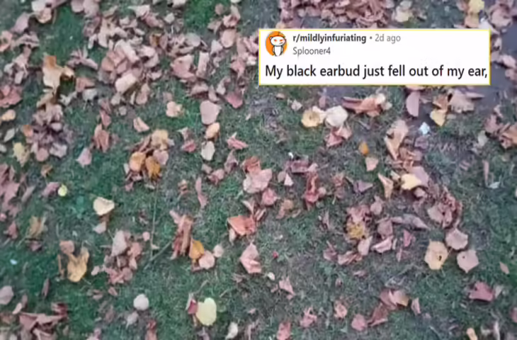 कान से निकलकर घास में गिरा 1 ईयरबड, बंदे ने फोटो इंटरनेट पर डाली तो बाज जैसी नजर वाले भी नहीं ढूंढ पाए