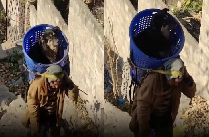 पहाड़ों की कठिन चढ़ाई में घायल कुत्ते को रेस्क्यू करता शख्स, Video देखकर लोग बोले- सच में इंसानियत जिंदा है