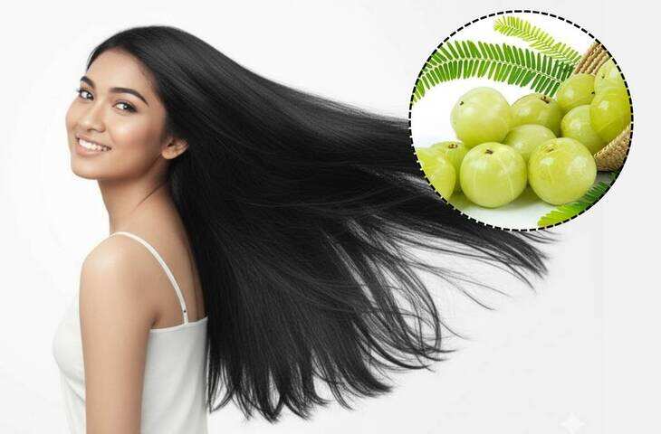 Hair Fall Solution: आंवला और एलोवेरा का ये देसी नुस्खा करेगा बालों को मजबूत, झड़ना होगा बंद! जानें सही तरीका