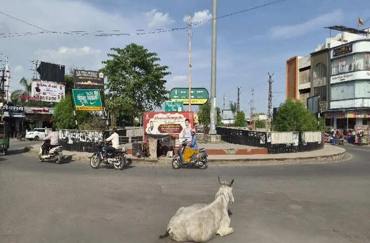 &ldquo;डर लगता है इन चौराहों से गुजरने में&rdquo;, अव्यवस्था के बीच हर दिन हादसों को न्योता