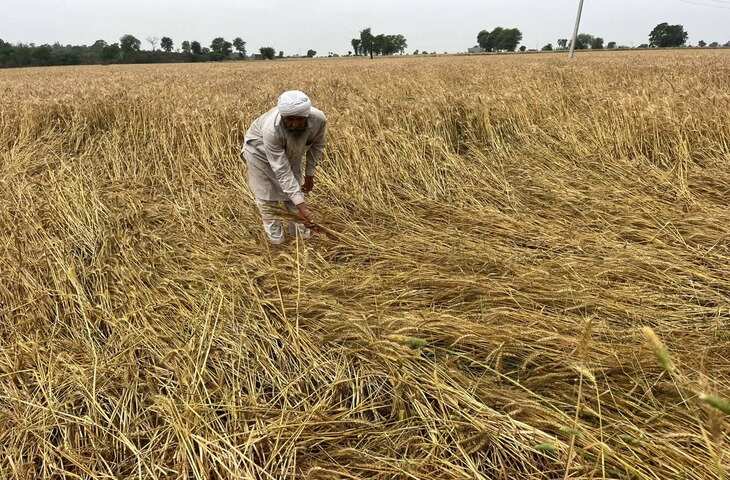 मौसम का कहर: MP, यूपी और अन्य राज्यों में बारिश का अलर्ट, हरियाणा के 7 जिलों में फसलों को नुकसान