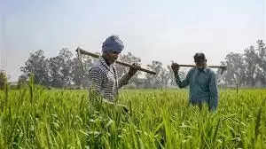 Gopalganj खरीफ की खेती की तैयारी में जुटा कृषि विभाग