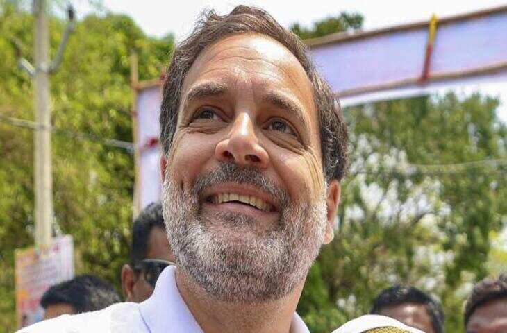 Rahul Gandhi Birthday: सिर्फ राजनीति नहीं कमाल का बिज़नेसमाइंड भी रखते है राहुल गांधी, इन कम्पनियों में लगाया मोटा पैसा&nbsp;